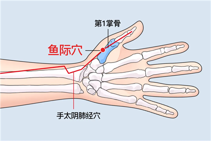 人体手部穴位对应表(4)