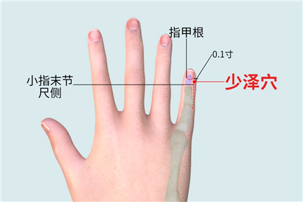 人体手部穴位对应表(10)