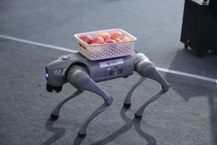 第十八届中国·陕西（洛川）国际苹果博览会盛大开展(3)