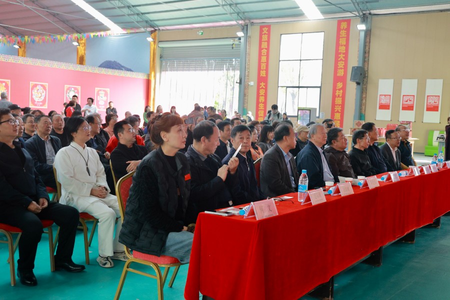 泾阳县大安文化养生园非遗艺术节启幕，6 个月文化盛宴邀您打卡(3)