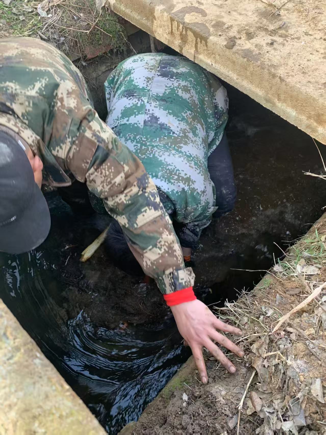 寒渠清障护安澜 供水担当暖新春(1)