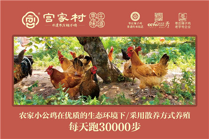 山东：宫家村®枣庄辣子鸡•枣庄十八珍之首(3)