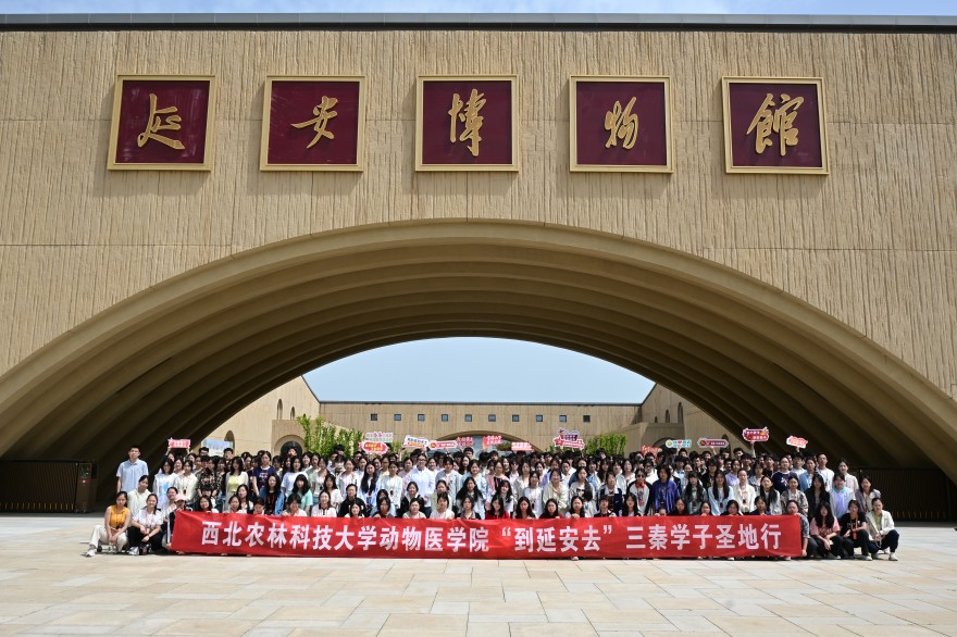 到延安去！西北农林科技大学动物医学院220名学子同上“行走的思政课”(4)