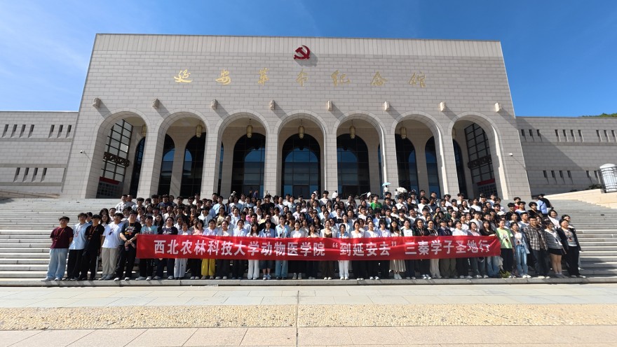 到延安去！西北农林科技大学动物医学院220名学子同上“行走的思政课”(6)
