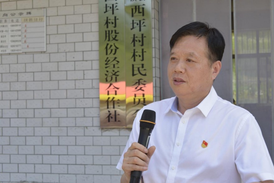三支部联建聚合力！商南西坪村党建赋能乡村振兴 助老活动暖透秦岭腹地(7)
