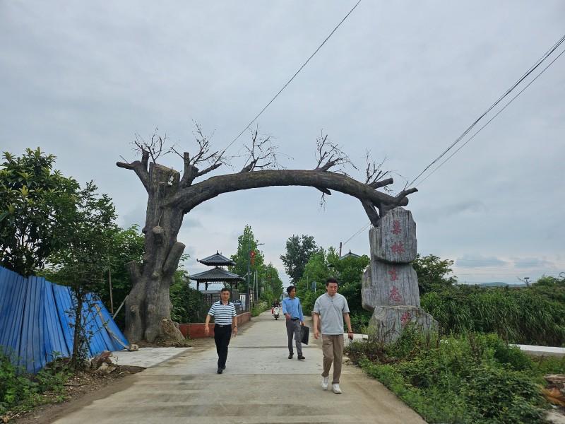 省级劳动教育标准化试点单位正式挂牌 汉中巢林生态农场深耕耕读育人赋能五育并举(1)