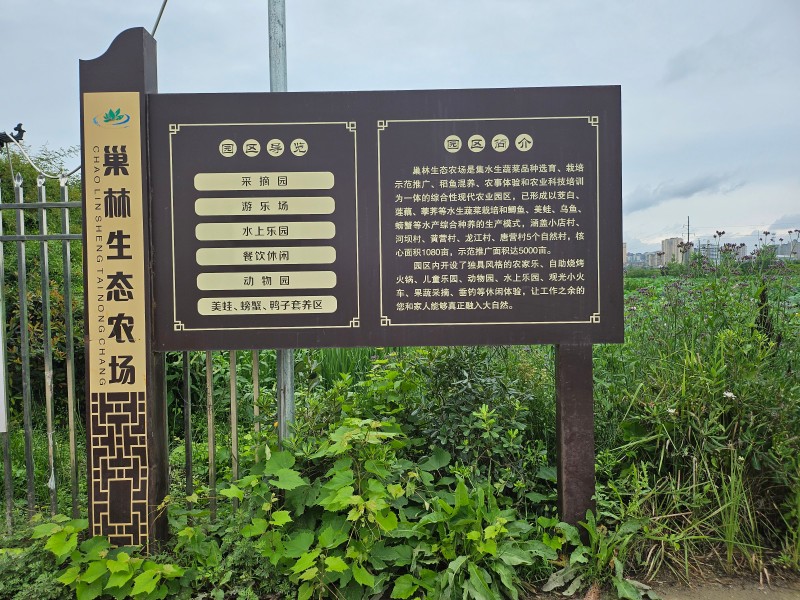 省级劳动教育标准化试点单位正式挂牌 汉中巢林生态农场深耕耕读育人赋能五育并举(2)
