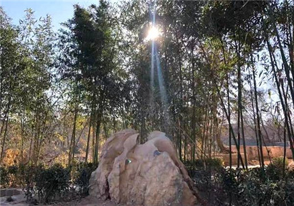 复兴康庄：康养鑫农小镇欢迎你来！(3)