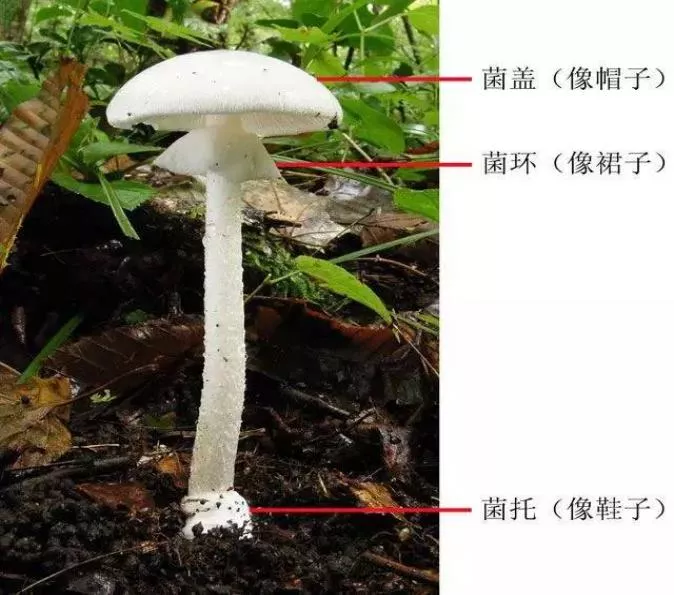 陕西疾控紧急提醒！出现这些症状要立即就医(1)