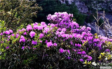 尧山旅游日，全民游尧山(4)