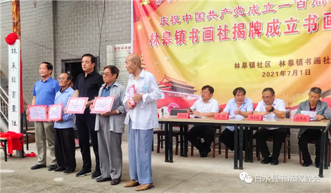 白水县林皋镇书画社揭牌成立书画展(8)