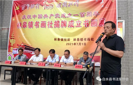白水县林皋镇书画社揭牌成立书画展(9)