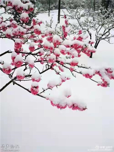 刘爱虎冬日诗二首(2)