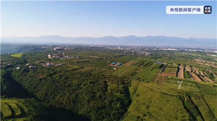 汉文帝霸陵墓在西安地现(1)