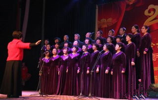 陕西大荔县首届“东七体检”杯网络春晚复赛(1)